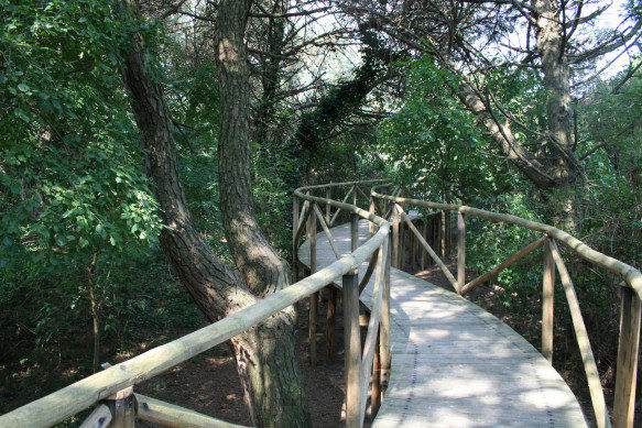 Giardino Botanico Litoraneo del Veneto